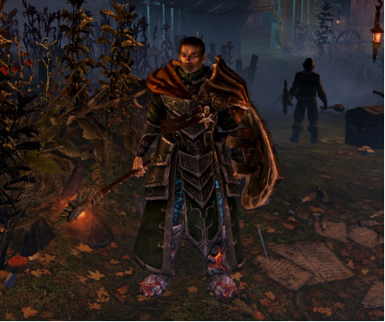 恐怖黎明 (Grim Dawn) 全B31紫色套裝外觀與屬性分享
