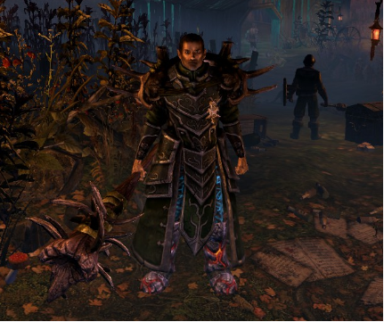 恐怖黎明 (Grim Dawn) 全B31紫色套裝外觀與屬性分享