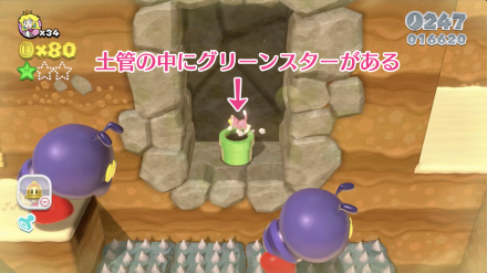 超級瑪利歐 3D世界 狂怒世界 (Super Mario 3D World) 世界4-1