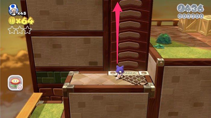 超級瑪利歐 3D世界 狂怒世界 (Super Mario 3D World) 世界6-6
