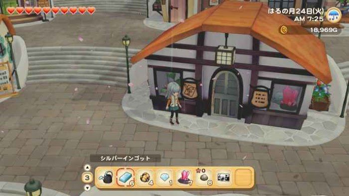 牧場物語 橄欖鎮與希望的大地 (STORY OF SEASONS) 雜貨店的商品