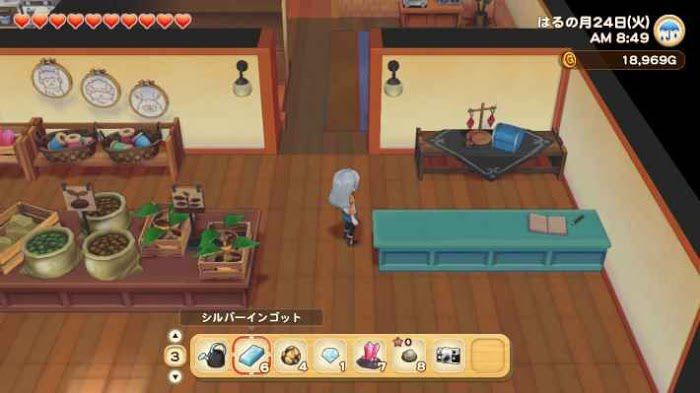 牧場物語 橄欖鎮與希望的大地 (STORY OF SEASONS) 雜貨店的商品
