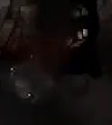 以撒的結合 (The Binding of Isaac Repentance) 全新增BOSS技能解析