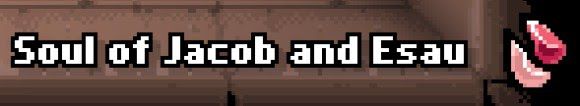 以撒的結合 (The Binding of Isaac Repentance) 全卡牌屬性效果分享 Birthright加成效果