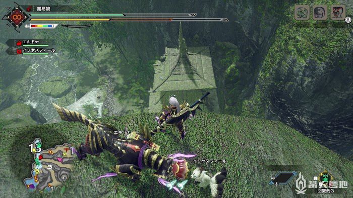 魔物獵人 崛起 (Monster Hunter Rise) 環境生物石守、岩守、鱗守蜥蜴位置