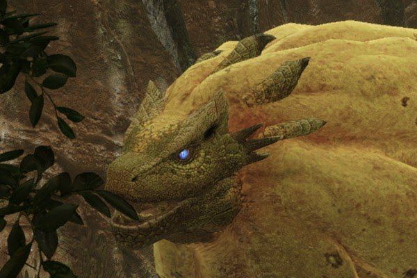 魔物獵人 崛起 (Monster Hunter Rise) 各怪物發怒狀態說明