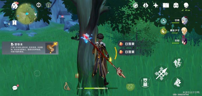 原神 (Genshin Impact) 塵歌壺系統新手避坑方法