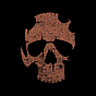 往日不再 (Days Gone) 白金攻略