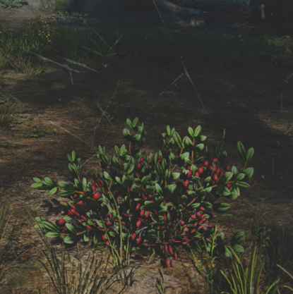 往日不再 (Days Gone) 全藥草收集點與地圖示意