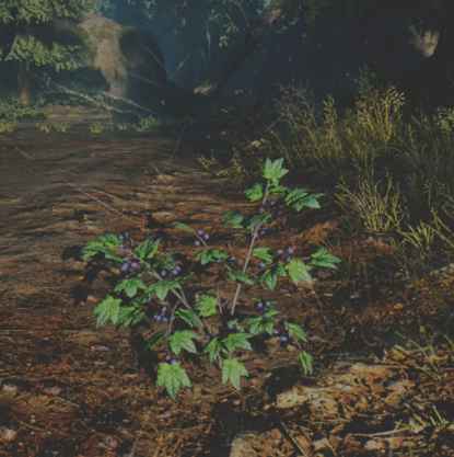 往日不再 (Days Gone) 全藥草收集點與地圖示意