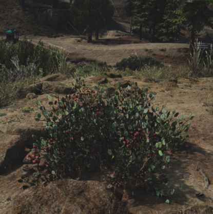 往日不再 (Days Gone) 全藥草收集點與地圖示意