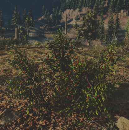 往日不再 (Days Gone) 全藥草收集點與地圖示意