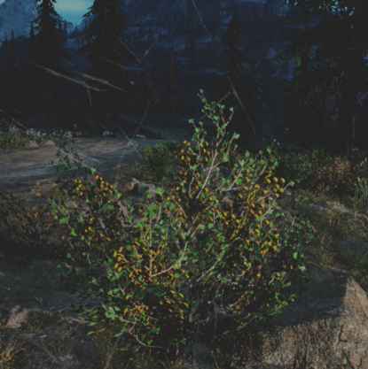 往日不再 (Days Gone) 全藥草收集點與地圖示意