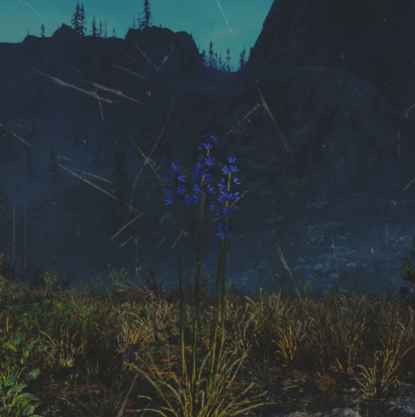 往日不再 (Days Gone) 全藥草收集點與地圖示意