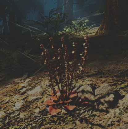 往日不再 (Days Gone) 全藥草收集點與地圖示意