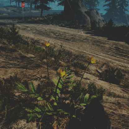 往日不再 (Days Gone) 全藥草收集點與地圖示意