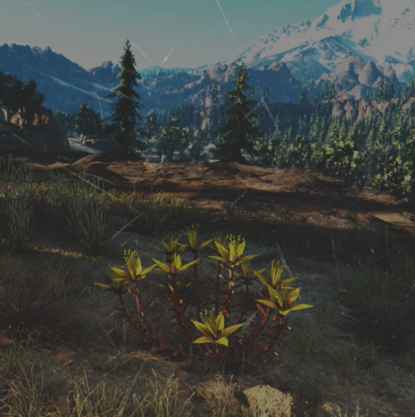 往日不再 (Days Gone) 全藥草收集點與地圖示意
