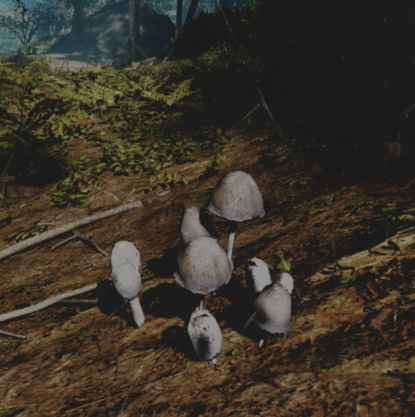 往日不再 (Days Gone) 全藥草收集點與地圖示意