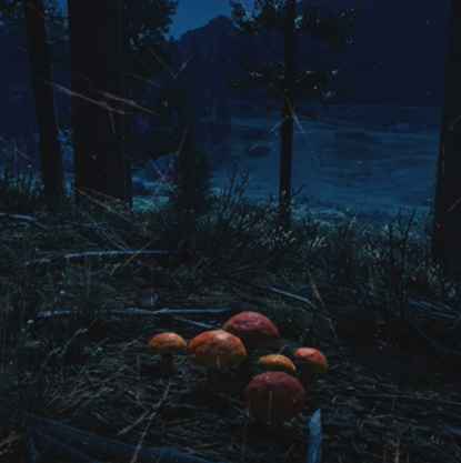往日不再 (Days Gone) 全藥草收集點與地圖示意