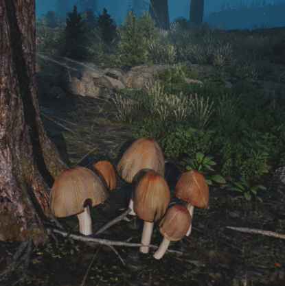 往日不再 (Days Gone) 全藥草收集點與地圖示意