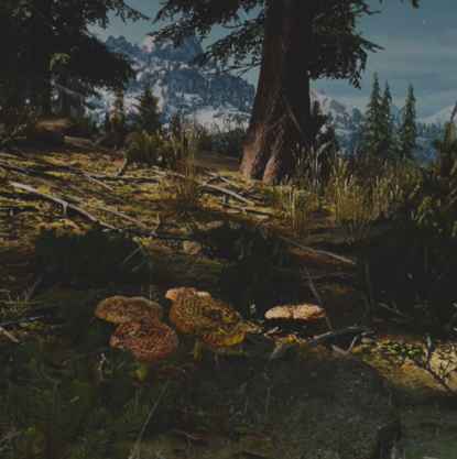 往日不再 (Days Gone) 全藥草收集點與地圖示意