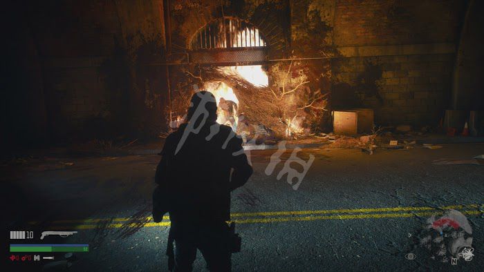 往日不再 (Days Gone) 遊戲圖文攻略