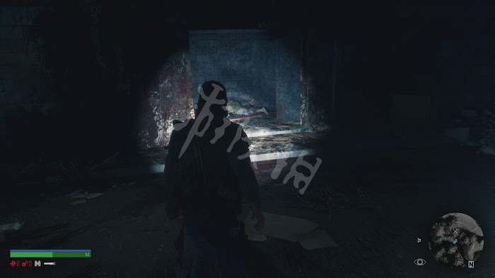 往日不再 (Days Gone) 遊戲圖文攻略