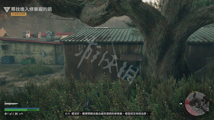 往日不再 (Days Gone) 遊戲圖文攻略