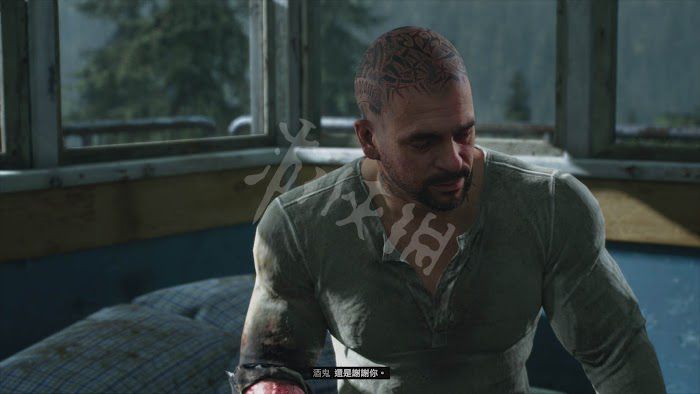 往日不再 (Days Gone) 遊戲圖文攻略