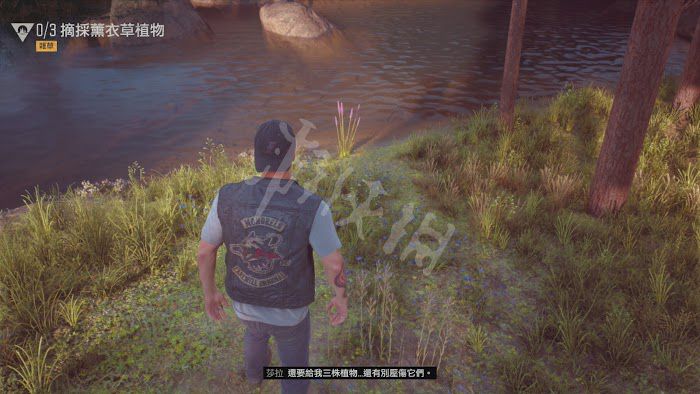 往日不再 (Days Gone) 遊戲圖文攻略