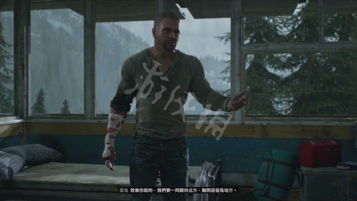 往日不再 (Days Gone) 遊戲圖文攻略