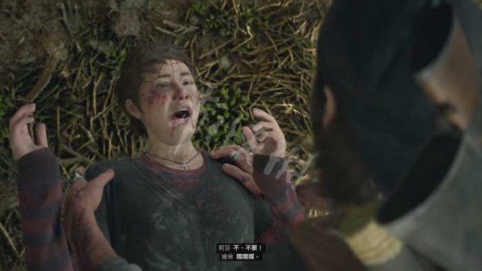 往日不再 (Days Gone) 遊戲圖文攻略