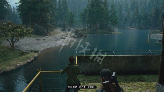 往日不再 (Days Gone) 遊戲圖文攻略