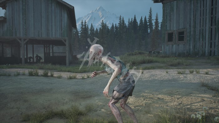 往日不再 (Days Gone) 遊戲圖文攻略