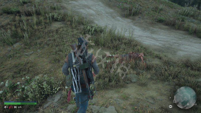 往日不再 (Days Gone) 遊戲圖文攻略