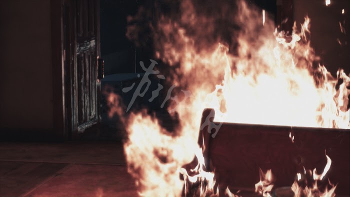 往日不再 (Days Gone) 遊戲圖文攻略