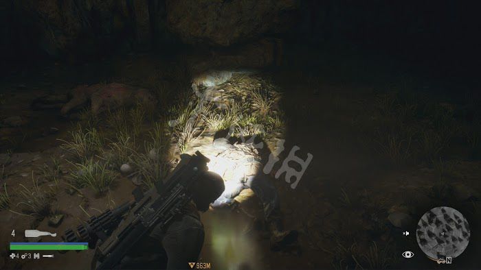 往日不再 (Days Gone) 遊戲圖文攻略
