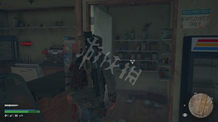 往日不再 (Days Gone) 遊戲圖文攻略