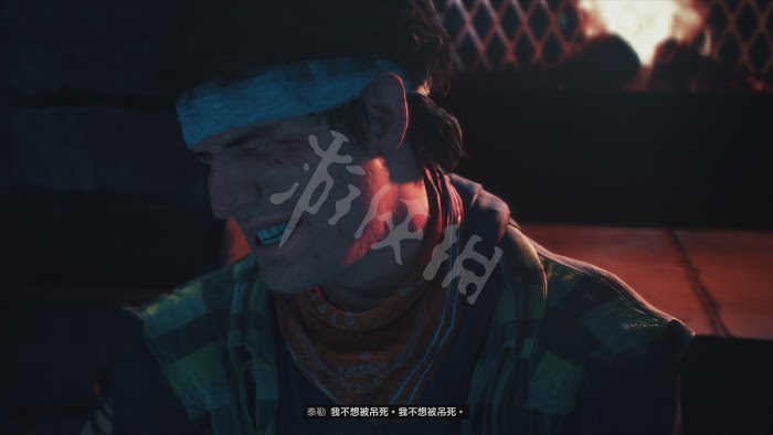 往日不再 (Days Gone) 遊戲圖文攻略