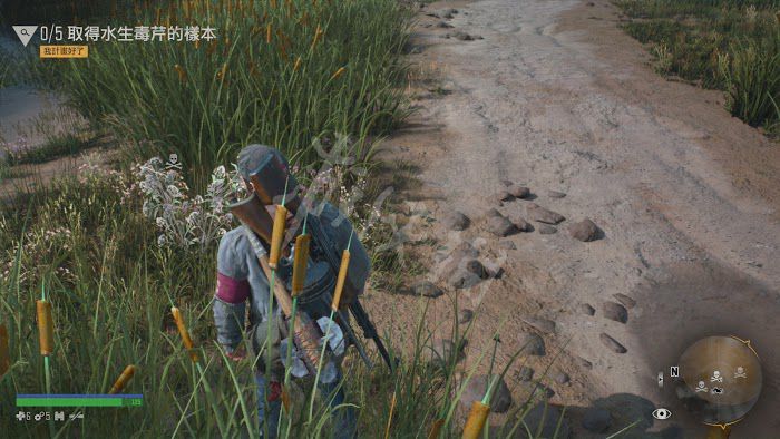往日不再 (Days Gone) 遊戲圖文攻略