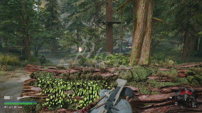 往日不再 (Days Gone) 遊戲圖文攻略