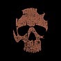 往日不再 (Days Gone) 中文獎盃列表分享 圖33