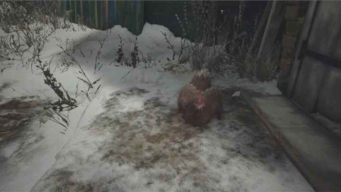 惡靈古堡 8 村莊 (Resident Evil Village) 食材分配的注意事項