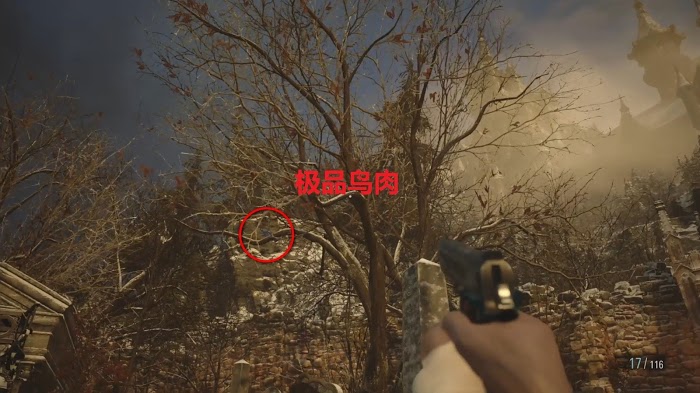 惡靈古堡 8 村莊 (Resident Evil Village) 高級肉類素材取得地點