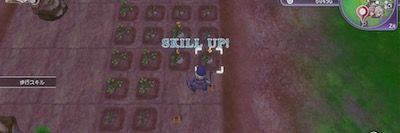 符文工廠5 (Rune Factory 5) 新手入門-高效推進序盤的方法