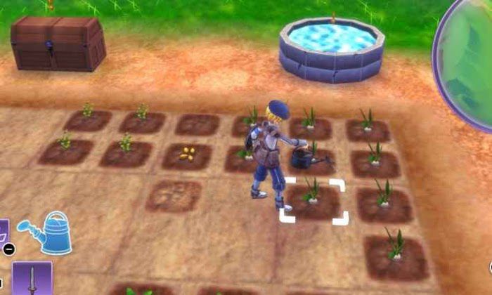 符文工廠5 (Rune Factory 5) 新手入門-高效賺錢的方法