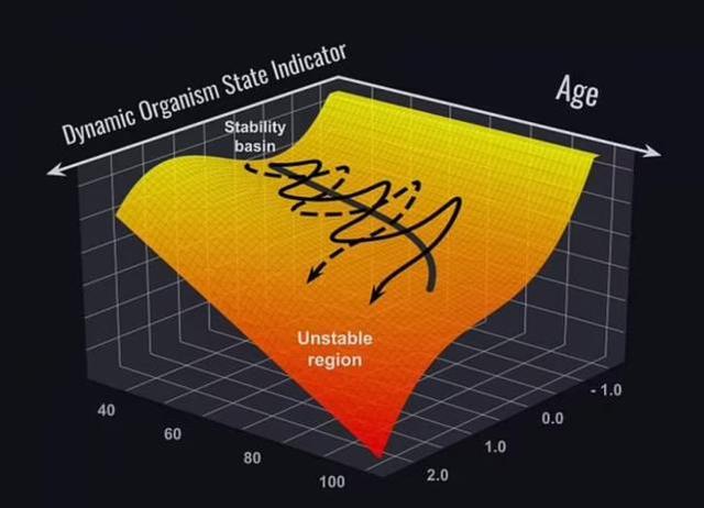 最新研究稱人類壽命不會超過150歲:完全喪失恢復能力