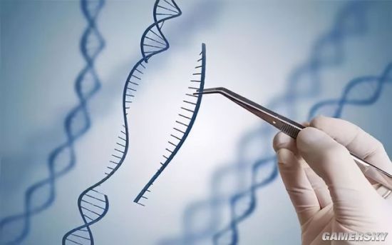 科學家將老鼠壽命增長23% 人類壽命有望增長至120歲