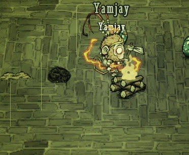 飢荒 (Don't Starve) 高腳鳥蛋孵化教學