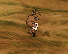 飢荒 (Don't Starve) 哈姆雷特全物品製作方法與代碼